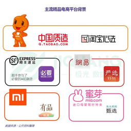 雙11淘寶系破千億,年輕男用戶(hù)為主的精品電商表現(xiàn)又如何